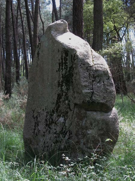 Menhirs de Kergo/Parc Bras
